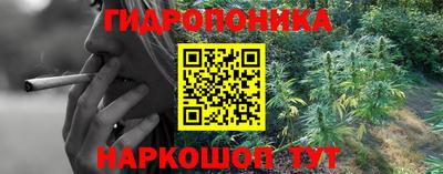 СК Чапаевск